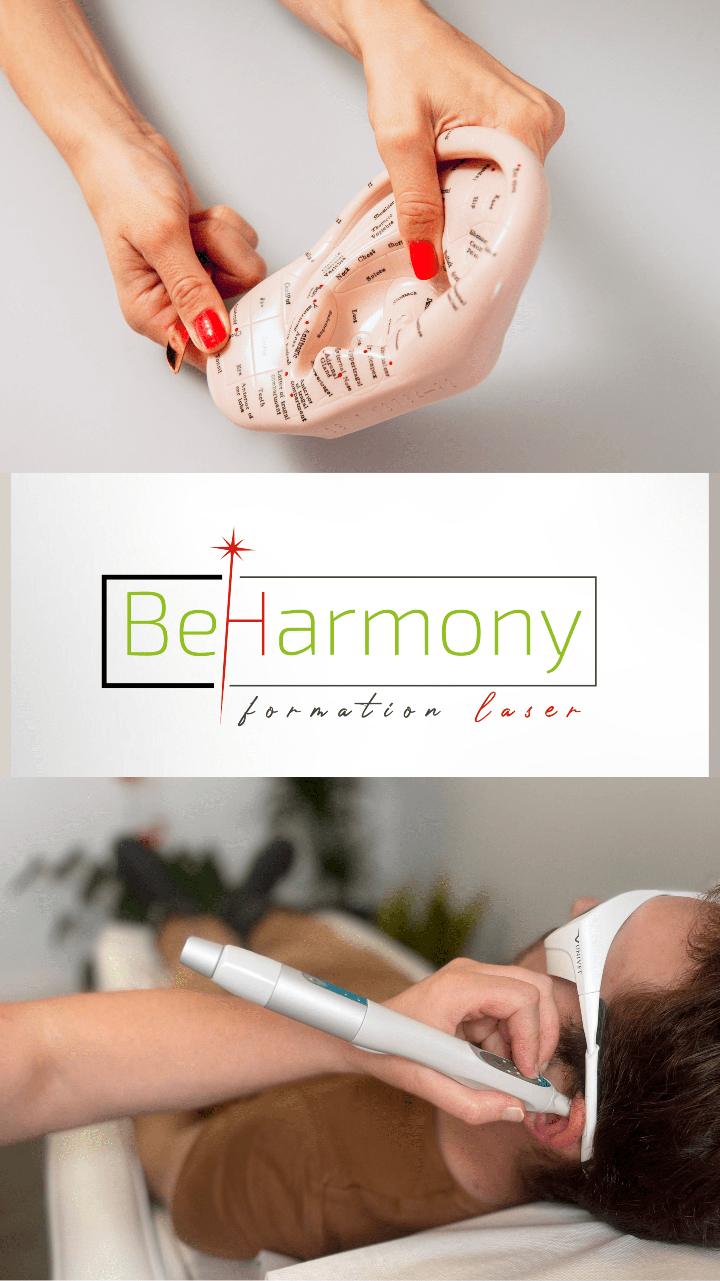 Formation Reflexologie Auriculaire Laser